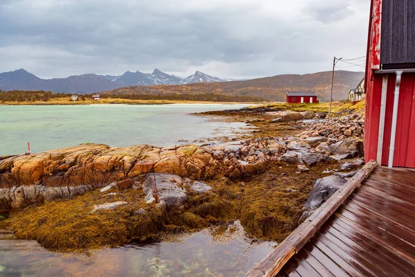 Пейзажний Вид Острів Senja Поблизу Straumsnes Норвегії — стокове фото