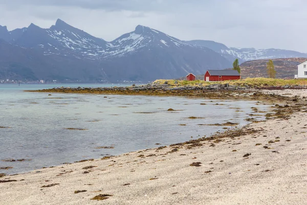 Пейзажний Вид Острів Senja Поблизу Straumsnes Норвегії — стокове фото