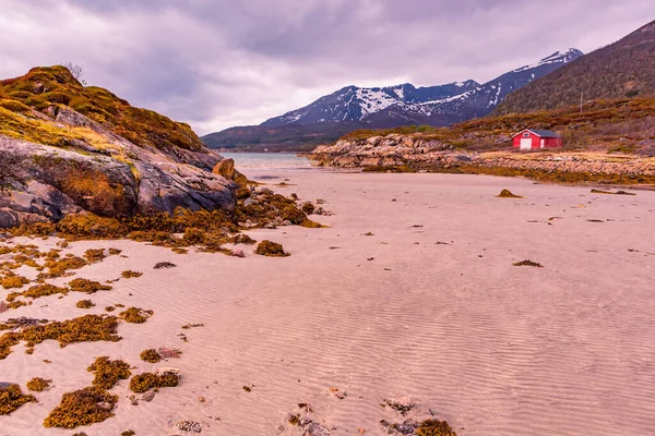 Vista Del Paesaggio Dell Isola Senja Oltre Circolo Polare Norvegia — Foto Stock