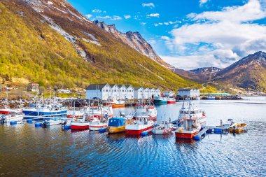 Norveç 'teki Kutup Dairesi' nin ötesinde, Senja Adası 'ndaki Husoy köyünün limanı.