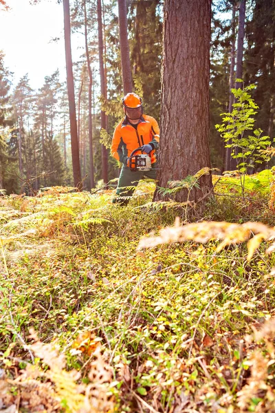 Lenhador Trabalhar Floresta — Fotografia de Stock