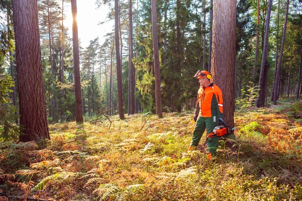 Skogshuggare Vid Arbete Skogen — Stockfoto