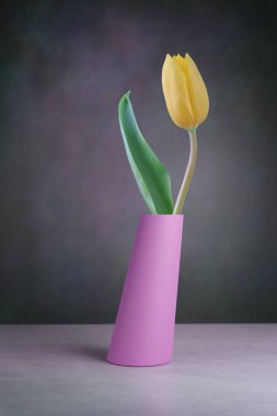 Vazodaki lale çiçeğinin yaşamı