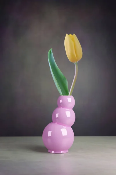 Stillleben Einer Tulpenblume Der Vase — Stockfoto