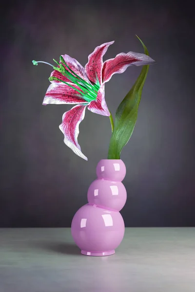 Einfaches Stillleben Einer Lilienblüte Einer Vase — Stockfoto