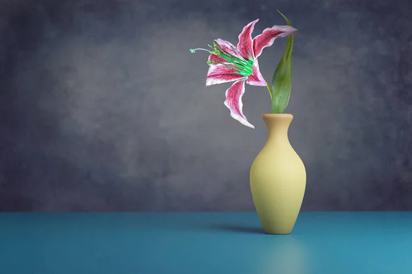Simple Still Life Lily Flower Vase — Stock Photo, Image