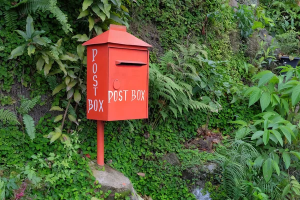 Caixa postal vermelha no fundo verde natural, vista da esquerda — Fotografia de Stock