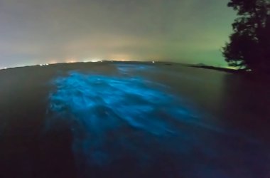 Kollarındaki plankton. Uzun pozlama ile parlayan dalga.