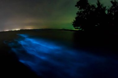 Bioluminescent plankton. Illumination of glowing wave taken with long exposure. clipart