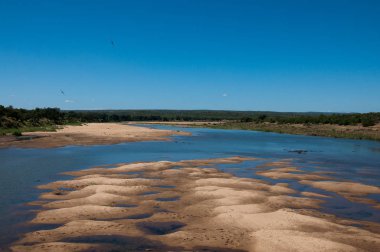 Afrika hyppo Nehri