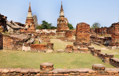 Antik tapınaklar Ayutthaya Tarih Parkı Tayland