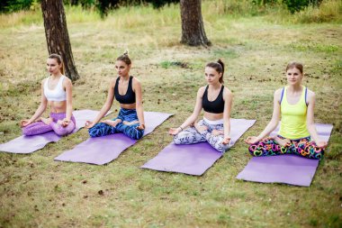 Açık havada taze yeşil çimenlerin üzerinde yoga yaparken kadın grubu. Sağlıklı yaşam tarzı.
