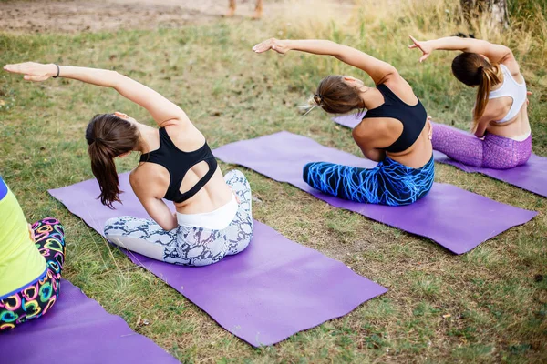 Un grupo de mujeres adultas que asisten al yoga fuera del parque — Foto de Stock