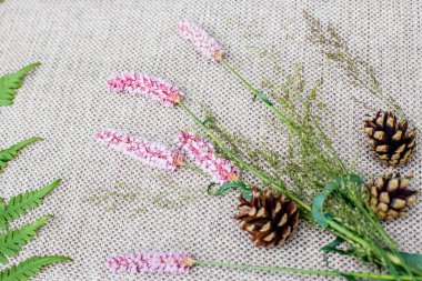 Bir fern, kır çiçekleri ve pinecones bej renkli arka plan üzerinde dalı
