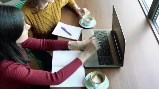 Due Giovani Donne Discutono Informazioni Uno Schermo Computer Portatile Lavoro — Video Stock