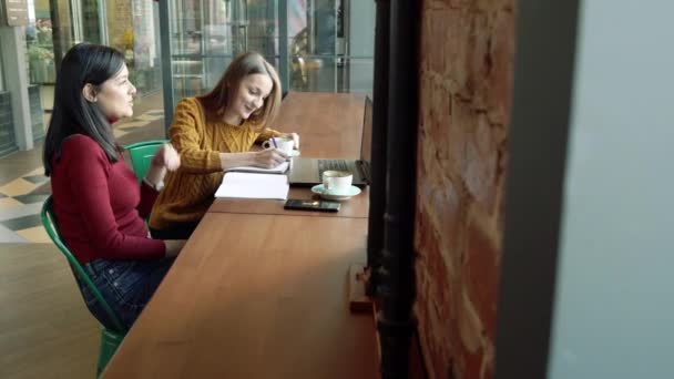 Zwei Junge Frauen Diskutieren Ein Neues Projekt Und Trinken Kaffee — Stockvideo