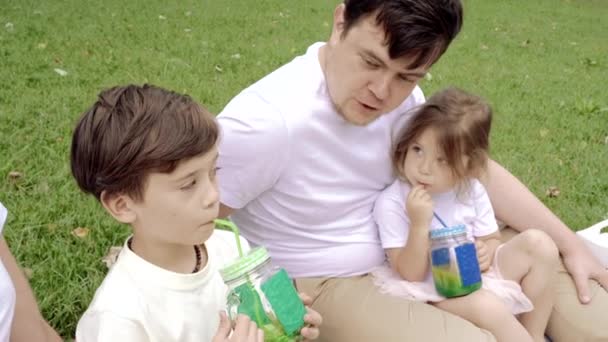 ピクニック中に草の上で休んでいる子供たちと幸せな家族 家庭生活における幸福と調和 — ストック動画