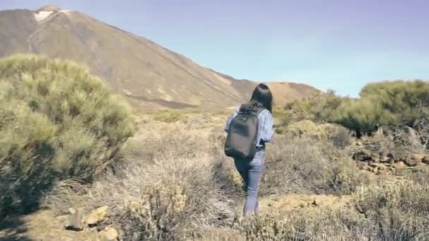 Genç Bir Kadın Turist Güneşli Bir Günde Dağın Zirvesine Çıkıyor — Stok video