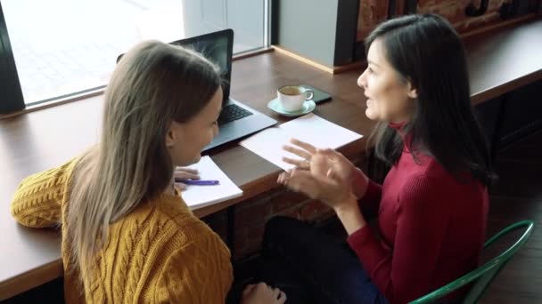 Duas Jovens Mulheres Sorridentes Discutindo Qualquer Coisa Gesticulando Com Mãos — Vídeo de Stock