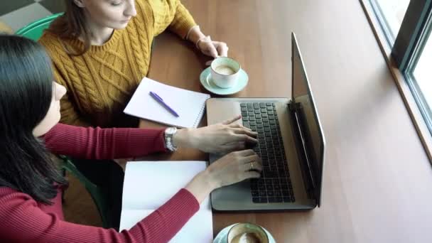 Két fiatal nő információt tárgyal egy laptop képernyőjéről. Szabadúszó munka, oktatás, üzletemberek koncepciója