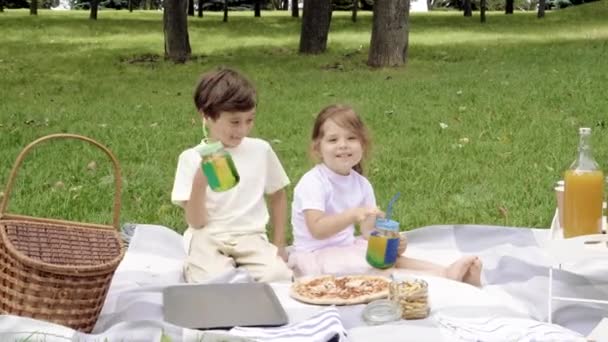 Dos Niños Lindos Sentados Bebiendo Bebidas Aire Libre — Vídeos de Stock