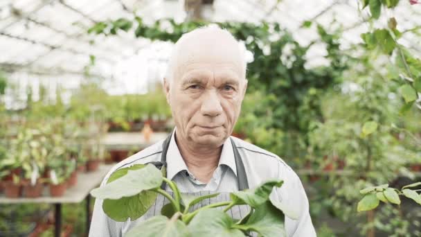 Πορτρέτο Ενός Ηλικιωμένου Αρσενικού Κηπουρού Που Κρατάει Μια Γλάστρα Ένα — Αρχείο Βίντεο