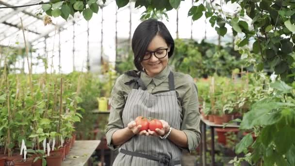 Retrato Una Joven Jardinera Sosteniendo Tomates Sus Manos Invernadero — Vídeo de stock