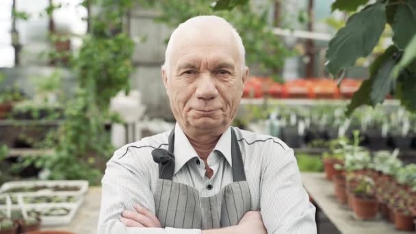 Retrato Jardineiro Idoso Atravessando Seus Braços Sobre Seu Peito Uma — Vídeo de Stock