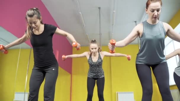 Grupo Jovens Mulheres Trabalhando Com Halteres Clube Fitness Conceito Estilo — Vídeo de Stock