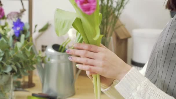 花店或作坊内装饰郁金香花束的花店女服务员的手 — 图库视频影像