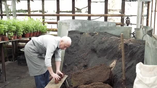 Starší Zahradník Sbírající Úrodnou Půdu Květináči Pro Výsadbu Nových Rostlin — Stock video