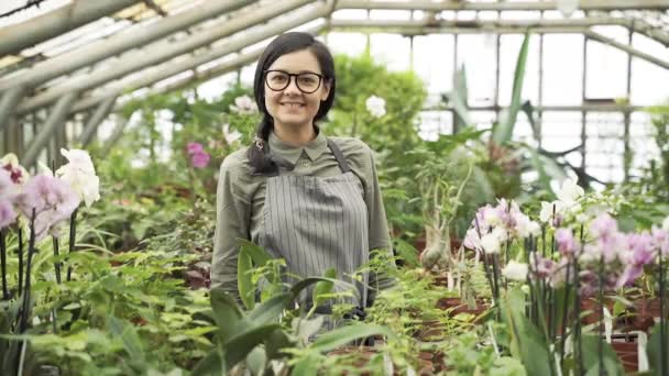 温室内の花や植物の間に立つ若い笑顔の女性庭師や花屋の肖像画 — ストック動画
