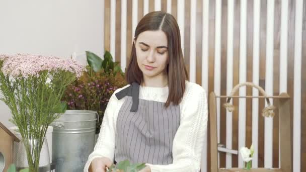 Young Woman Florist Preparing Flowers Creating Bouquet Composition Inspecting Pruning — 비디오