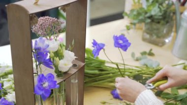 Çiçekçinin kadın eli. Atölyede ya da çiçekçide çiçek aranjmanı yapıyor..