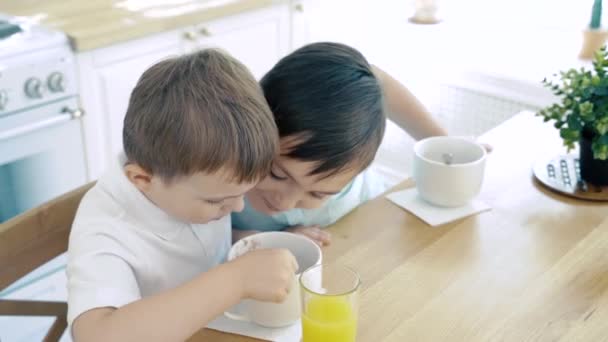 Two Baby Boys Eating Muesli Breakfast Kitchen — Stock Video