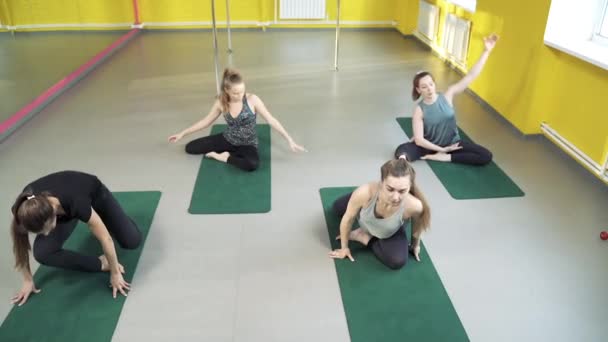 Groep Jonge Atletische Vrouwen Doen Pilates Oefening Studio Gezond Levensstijl — Stockvideo