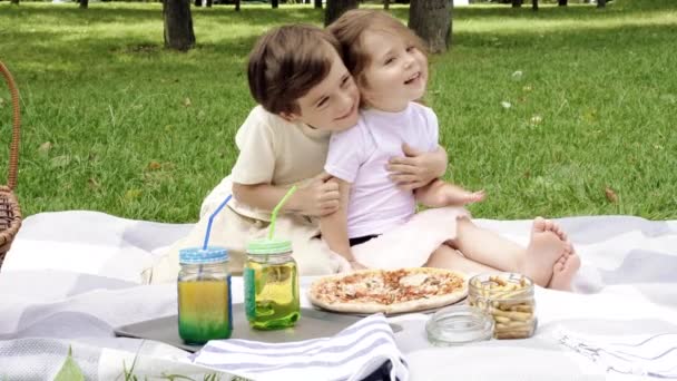 Piccolo Ragazzo Carino Che Abbraccia Sua Sorella Picnic — Video Stock