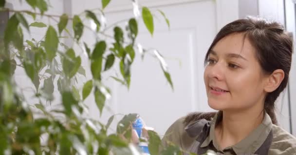 Mujer Joven Rociando Una Flor Maceta Con Agua Feliz Ama — Vídeos de Stock