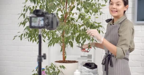 Popular Mujer Jardinero Blogger Hablando Cultivo Plantas Interior Grabación Video — Vídeos de Stock