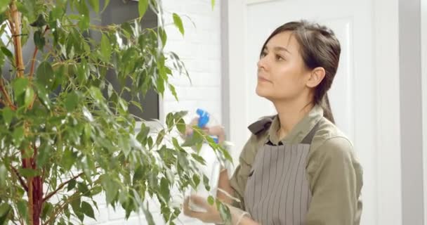年轻的女人往盆栽里喷水 快乐的成年家庭主妇在家里照顾家庭植物的种植 园艺概念 — 图库视频影像
