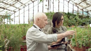 Yaşlı bahçıvan bir serada genç kadın bitkileri gösteriyor. Bir deftere notlar alıyor. Bahçıvanlık ve Çiftçilik Konsepti.