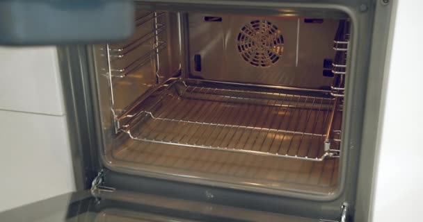 将一盘鱼放进厨房的烤箱的女手的特写镜头 健康饮食 — 图库视频影像
