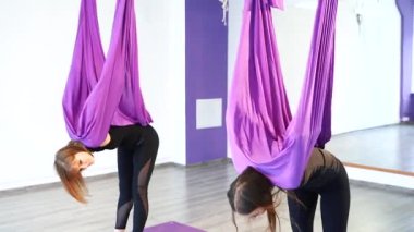 Mor hamakta hava yogası yapan bir grup genç kadın..