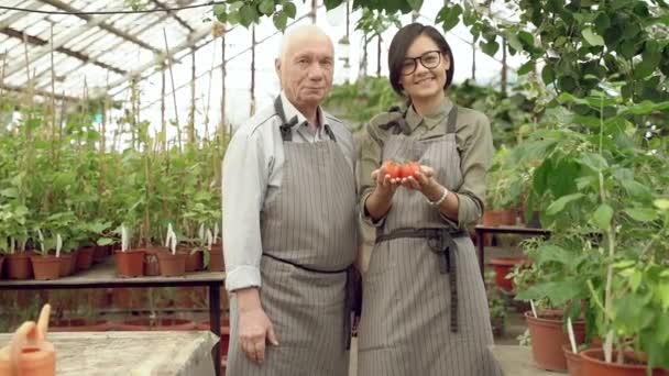 Portrait Elderly Man Young Woman Gardeners Holding Ripe Red Tomatoes — Stock Video