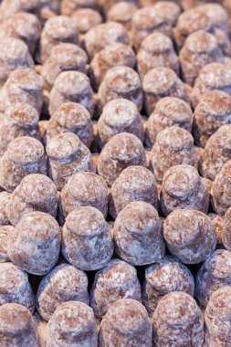 Güzel dizi lezzetli yer mantarı - portre vurdu