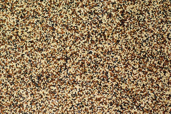 Mixed red, white and black quinoa - background, texture — Stock Photo, Image