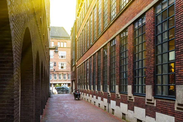 Vista di strada stretta ad Amsterdam con luce solare, case marroni e bordeaux. Vista laterale — Foto Stock