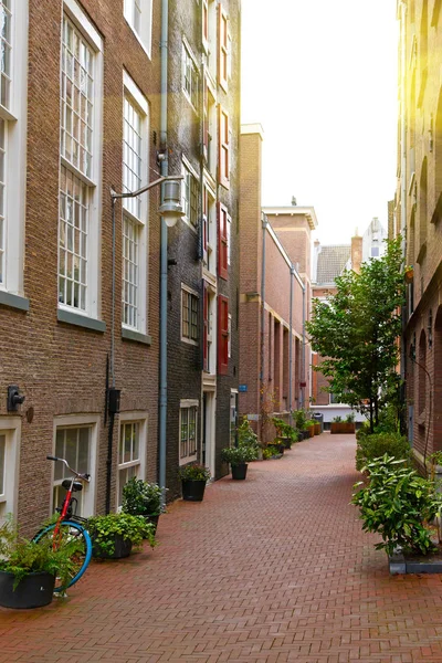 View of narrow street in Amsterdam. Historical, traditional and typical buildings and many plants are in the view. It is a sunny autumn day. — Stock Photo, Image