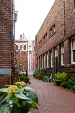 Amsterdam 'daki dar sokak manzarası. Manzarada tarihi, geleneksel ve tipik yapılar ve pek çok bitki yer alıyor. Güneşli bir sonbahar günü..