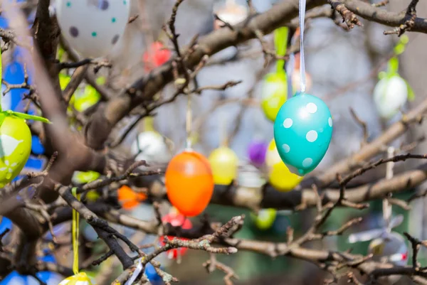Beaucoup d'œufs de Pâques colorés accrochés aux branches. Gros plan sur l'œuf de Pâques à la menthe Image En Vente